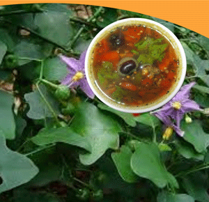 Thuthuvalai-Rasam-Mix